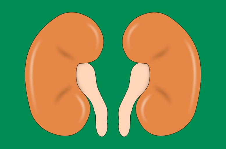 What is Kidney Failure?