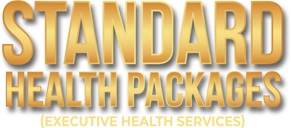 Slide 4 Standard Package Text 2