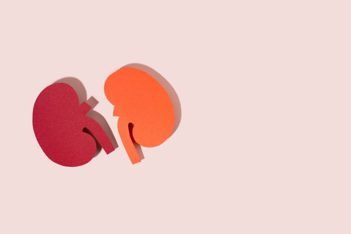 Is Kidney Transplant Right for You? Evaluating Eligibility and Considerations